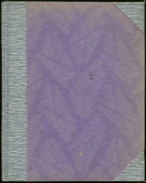 Nexö, Martin Andersen