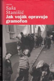 Stanišič, Saša