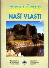 Kostner, Holeček, Krajíček
